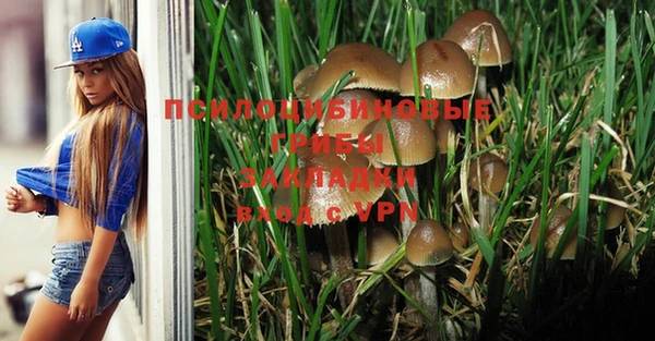 трава Вязьма