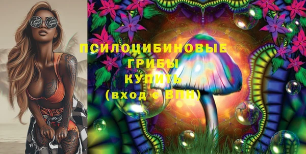 экстази Вяземский