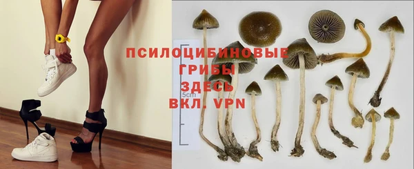 экстази Вяземский