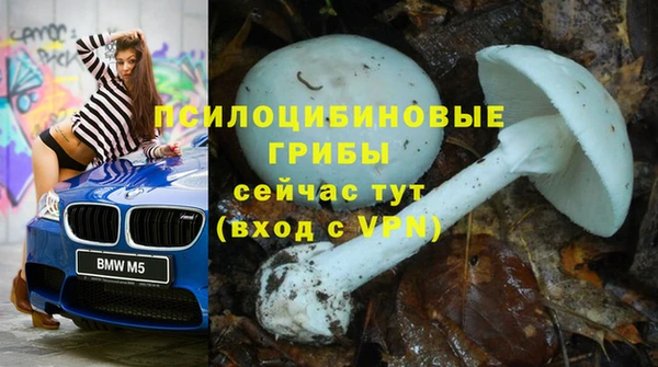 экстази Вяземский